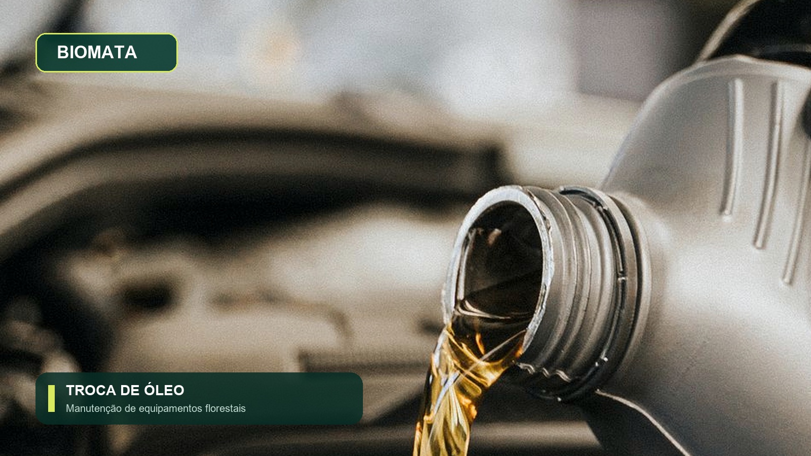 Óleo lubrificante sendo colocado durante uma manutenção preventiva, em imagem ilustrativa sobre equipamentos florestais.
