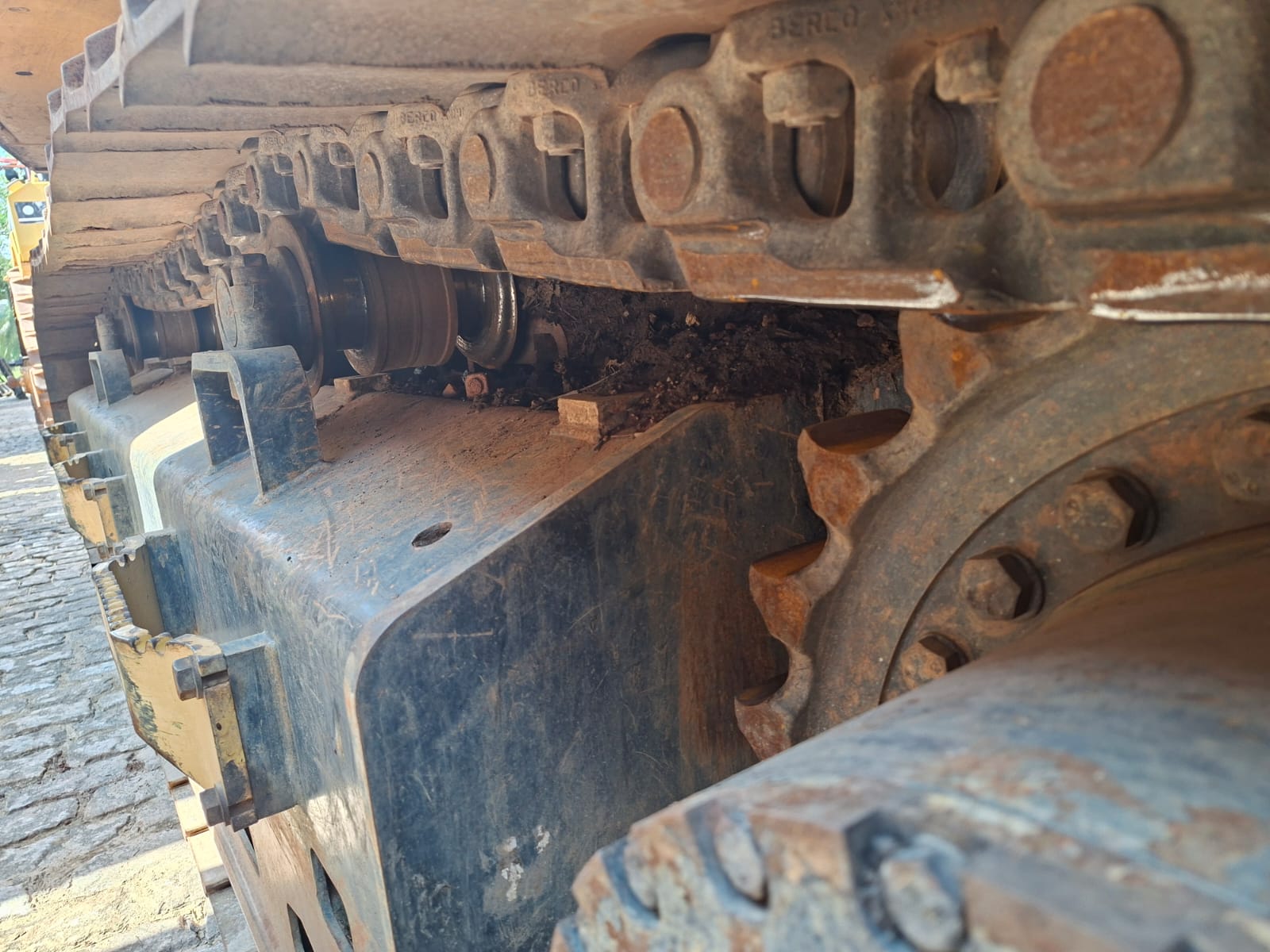 Feller Buncher TigerCat 855E — foto 2