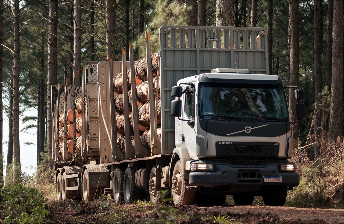 03 SERVICE_Carregamento e Transp_Transporte Florestal