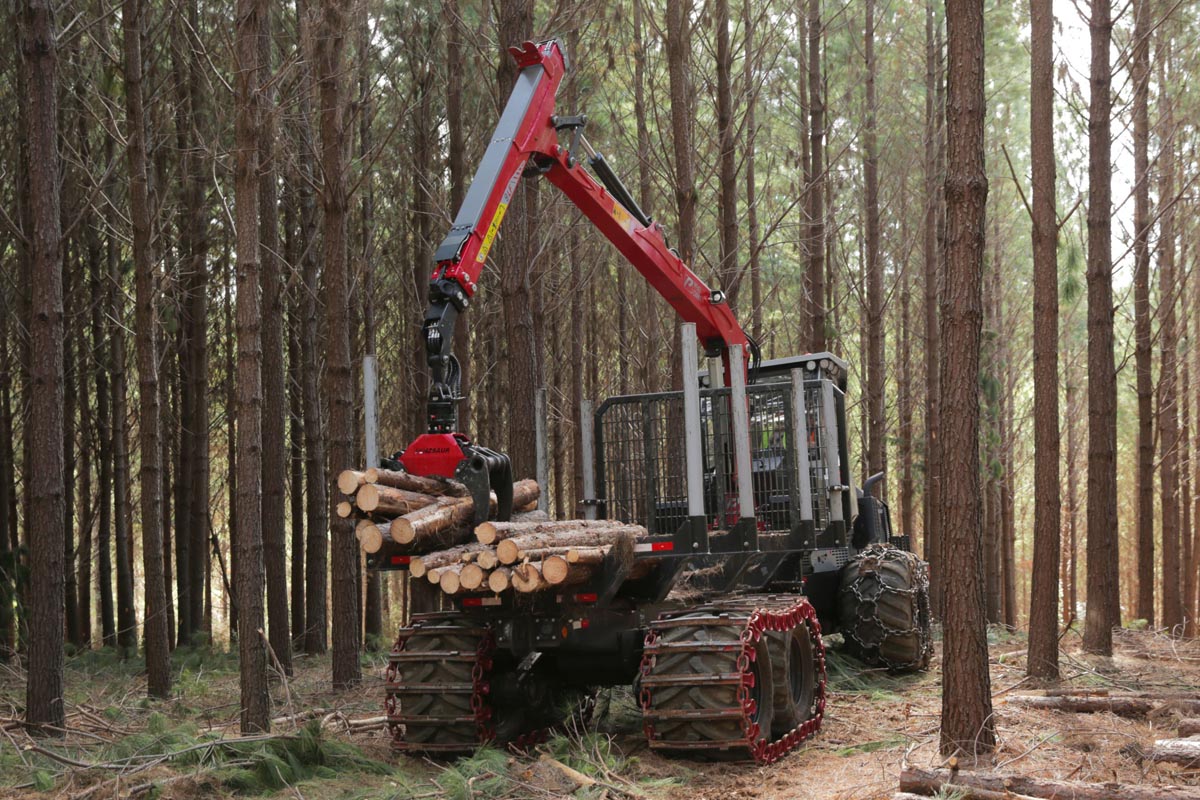 Colheita Mecânica CTL Forwarder