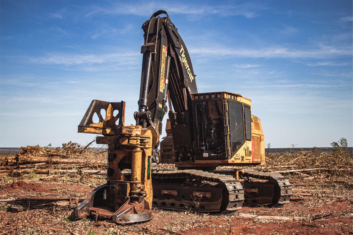 RENTAL_Colheita Full Tree_Feller Buncher 855E
