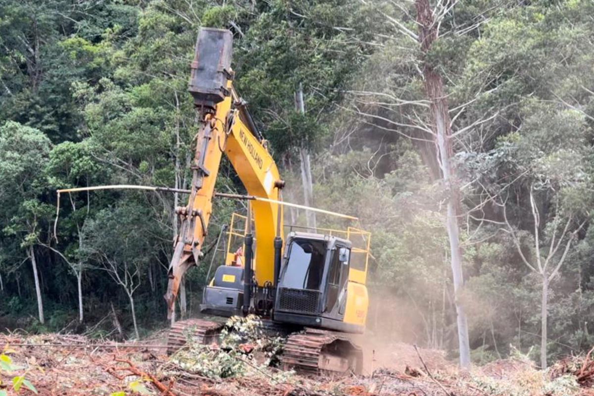 Silvicultura Mecânica Subsolador com Adubação